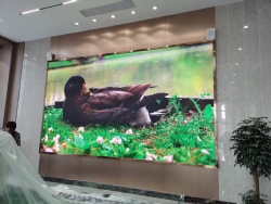 P1.875 indoor led display